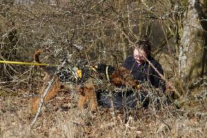 17.02.2019 Training Nanzenbach